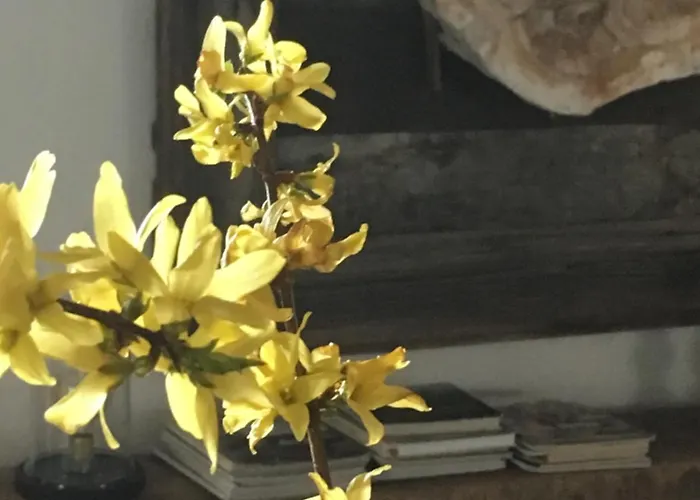 Pensjonat La Sautie Bars (Dordogne)