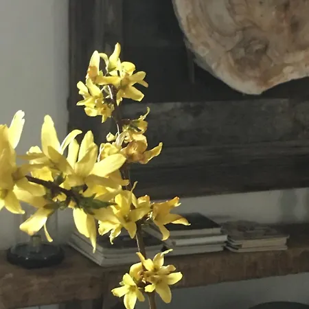 Maison d'hôtes La Sautie Bars (Dordogne)